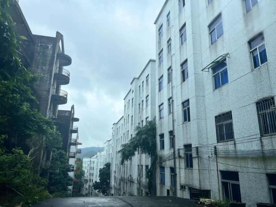 越秀区住建局新项目推动城市更新，提升居民生活品质