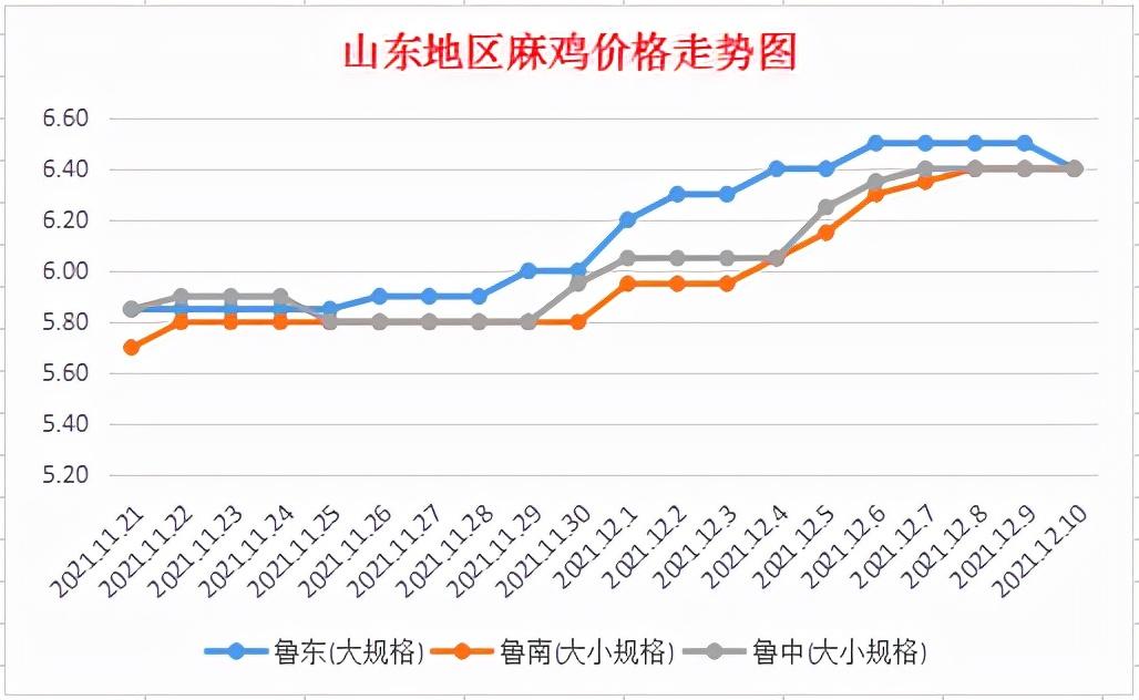 麻鸡最新价格动态解析