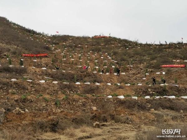 永和县住房和城乡建设局最新项目概览与动态