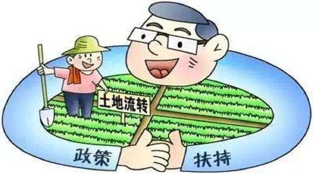 最新土地承包法全文深度解读