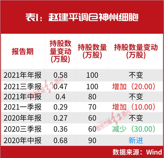 赵建平持股最新动态，深度解析及前景展望