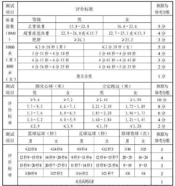 2024年12月5日 第28页