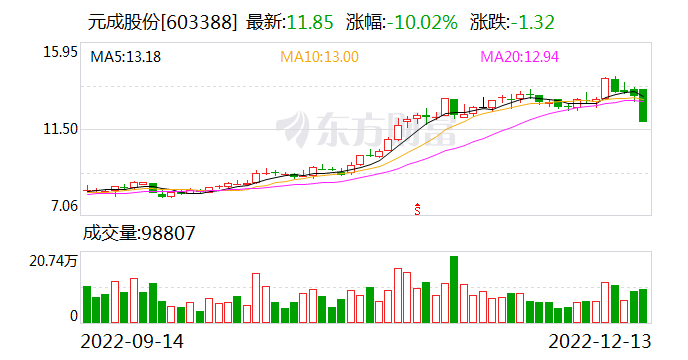 元成股份最新动态全面解读