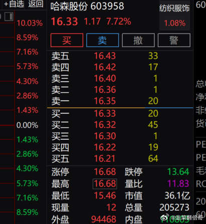 哈森股份最新动态全面解读