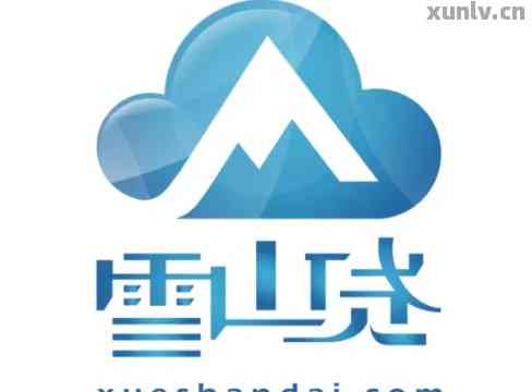 雪山贷最新动态全面解析