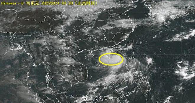 全球台风动态更新，今年台风活动分析与观察