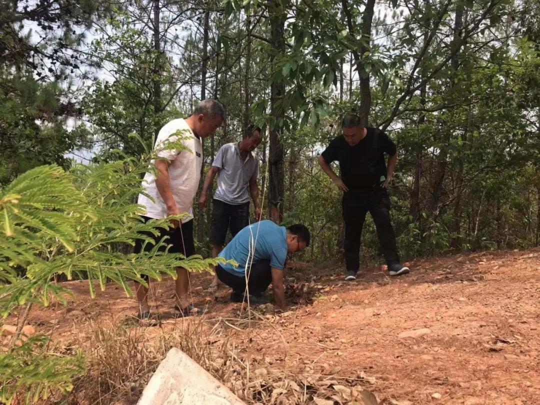 景东彝族自治县水利局最新招聘信息全面解析