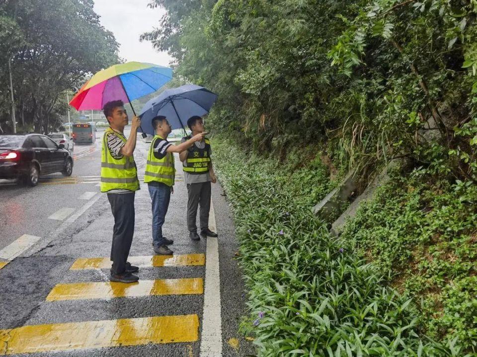 深圳最新台风影响及应对措施