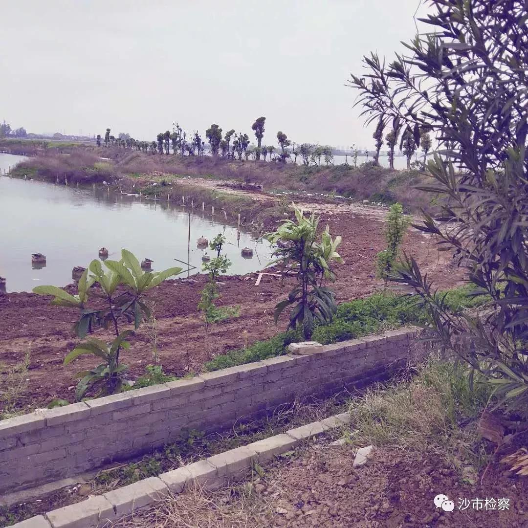 荆州区水利局最新招聘启事