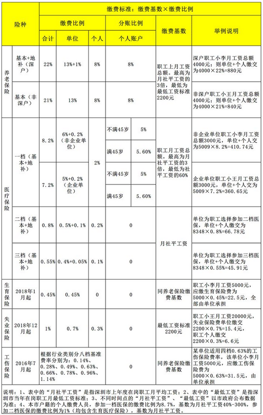 社保新规定详解，2019年最新政策解读