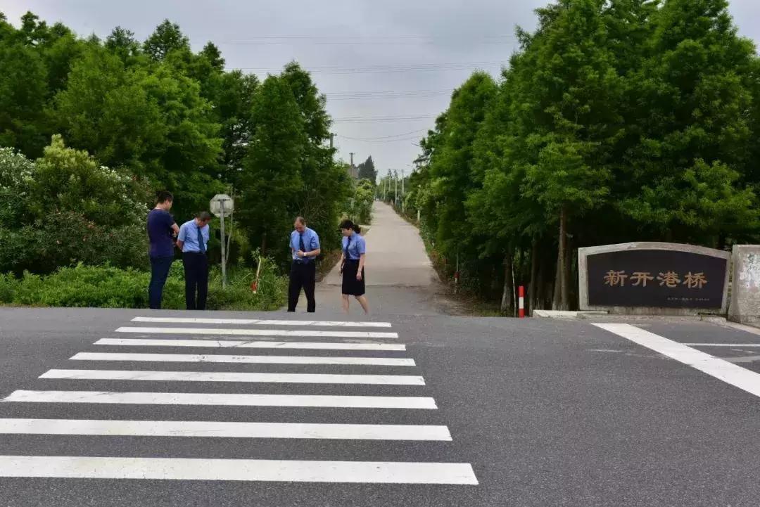 启东市自然资源和规划局新项目，城市可持续发展与生态保护协同前行