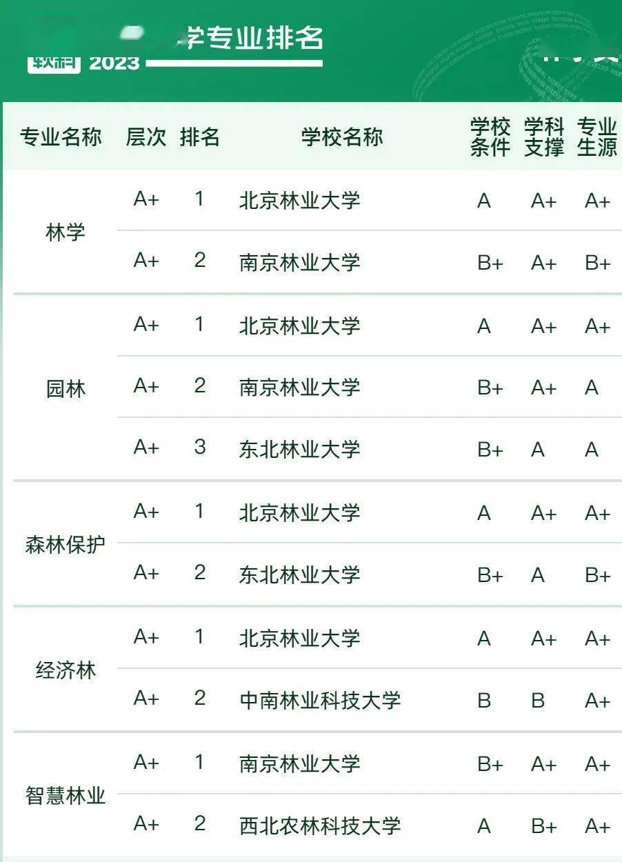 最新大学专业排名，洞悉教育趋势，引领未来职业道路的选择参考