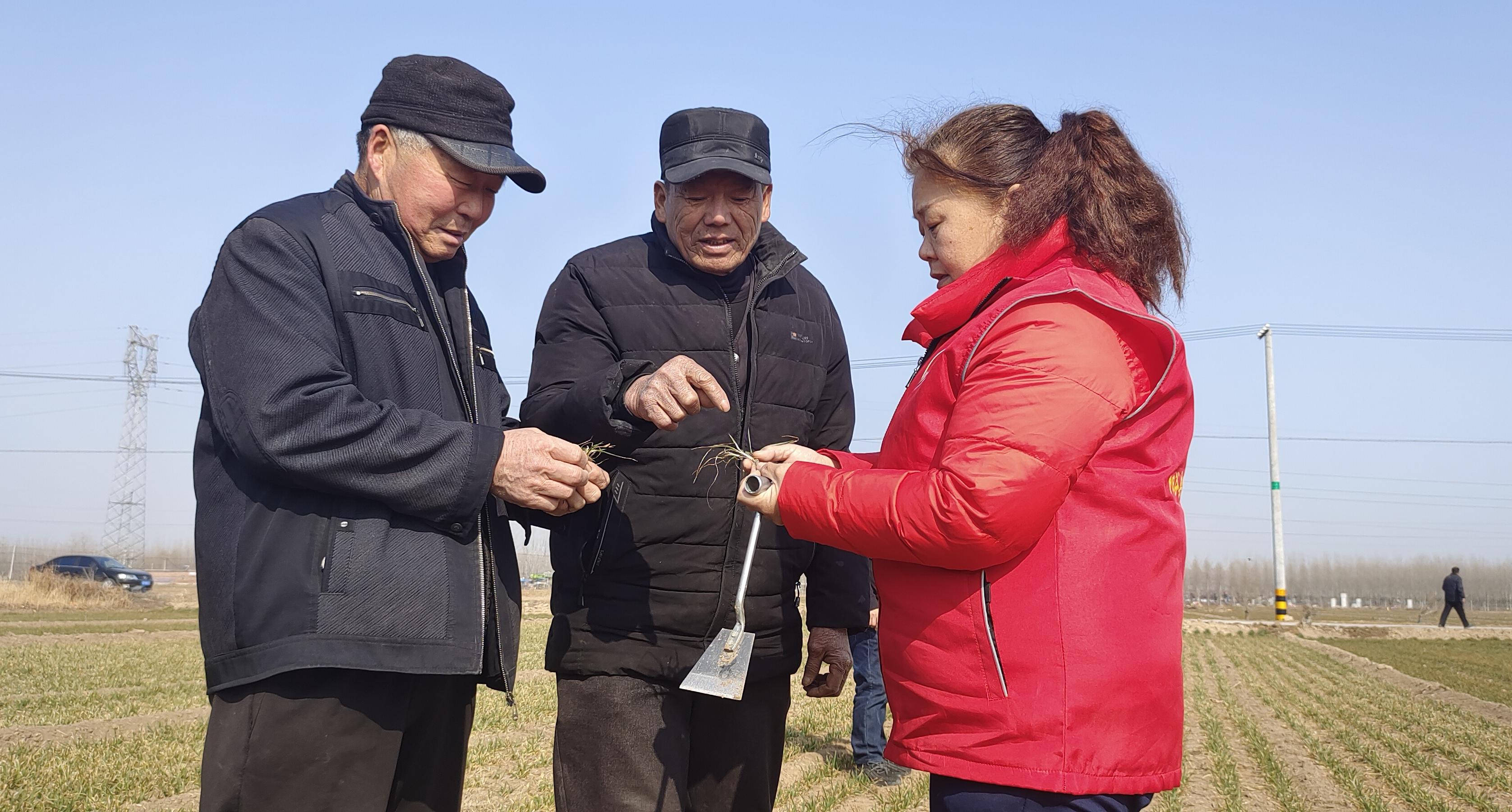 阳谷县住房和城乡建设局最新项目进展动态