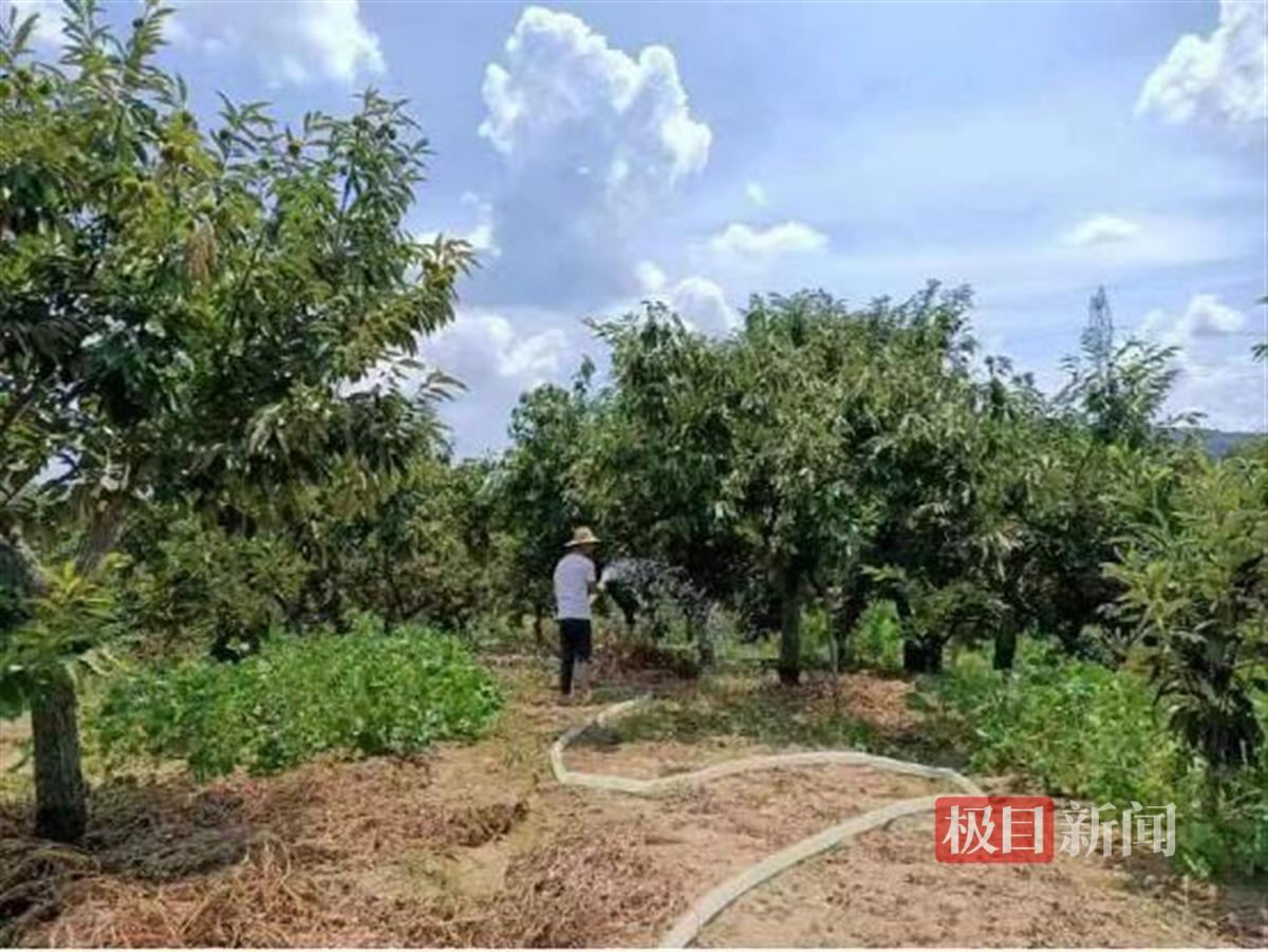 罗田县住房和城乡建设局最新项目概览与动态