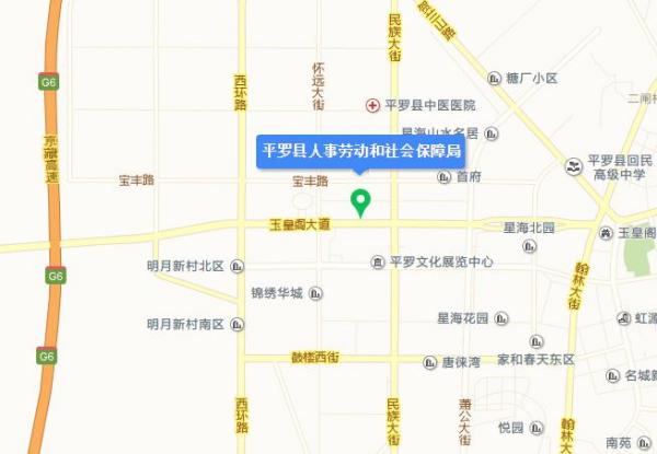 茌平县人力资源和社会保障局发展规划，构建和谐社会保障网络