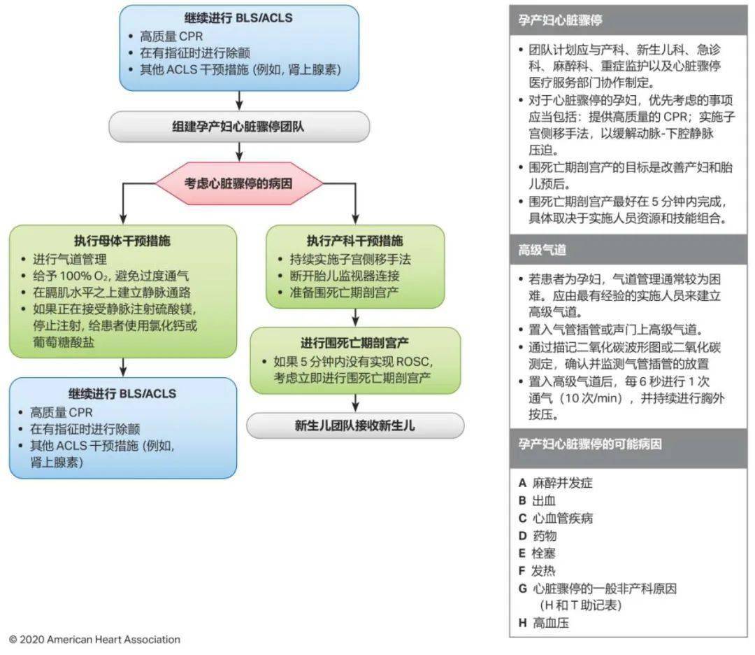 心肺复苏，最新实践指南与操作要点全解析