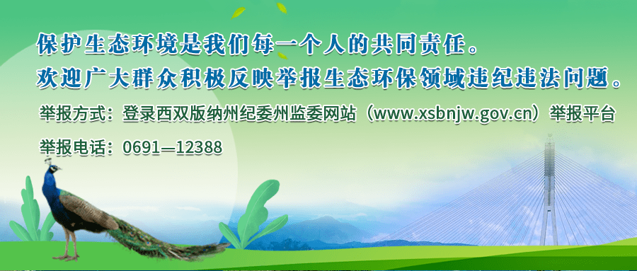 西双版纳招聘网最新招聘动态及其区域影响力分析